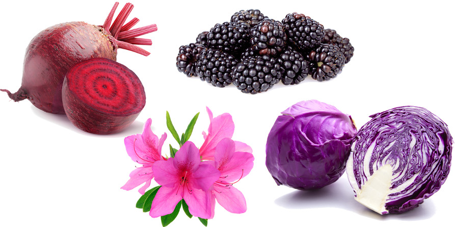 Vegetais que contêm antocianina — um indicador ácido-base natural
